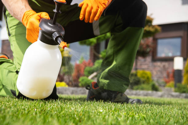 Best Termite Control Services  in Pismo Beach, CA