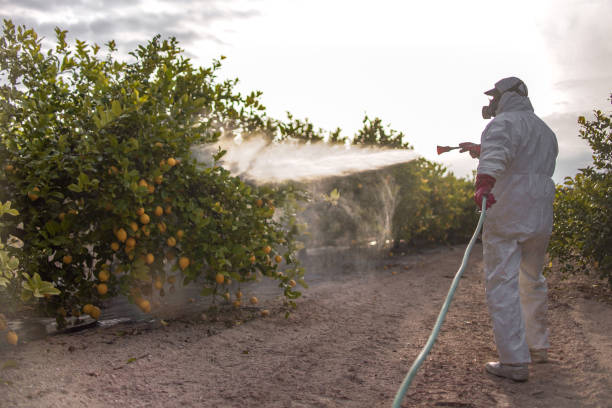 Best Insect Control  in Pismo Beach, CA