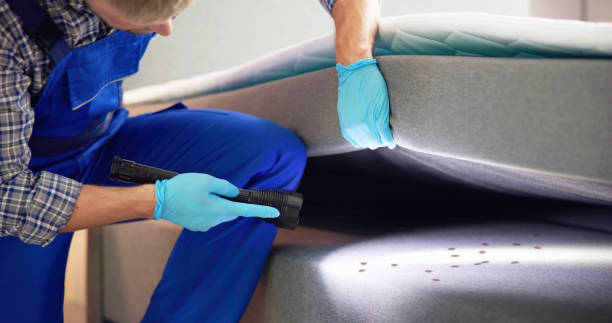 Best Pest Removal Services  in Pismo Beach, CA