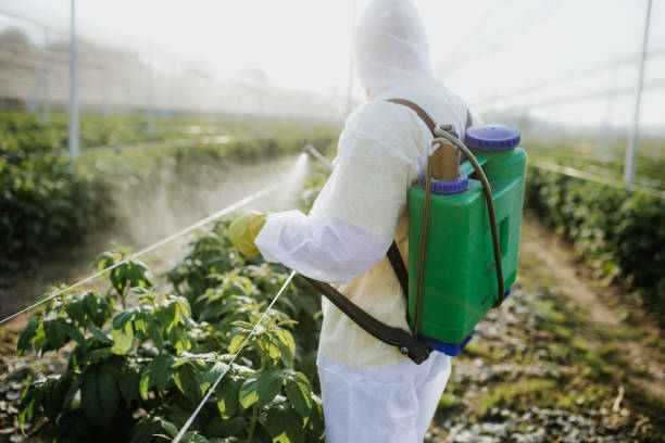 Best Best Pest Control Companies  in Pismo Beach, CA